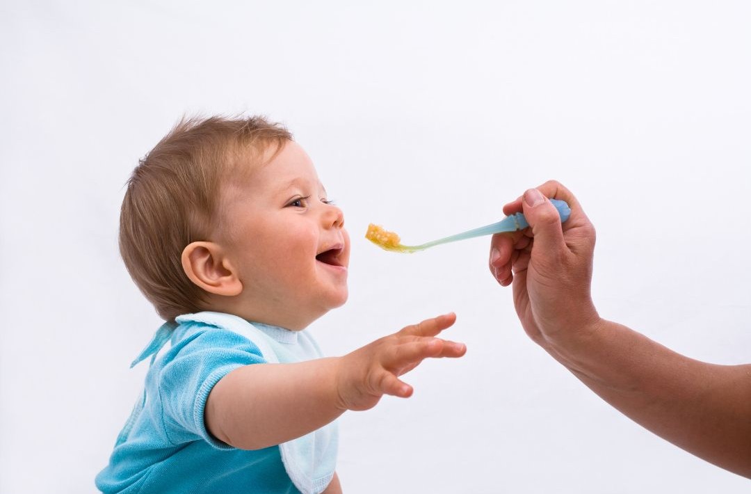 Bebê feliz recebendo uma colherada de papinha